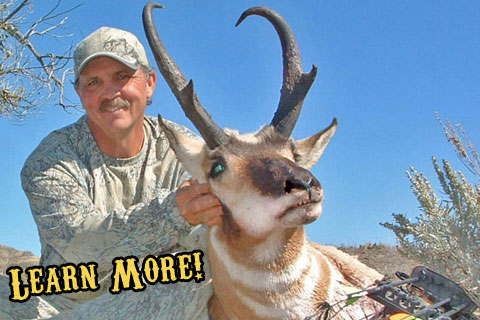 Montana Private Land Archery Antelope Hunts