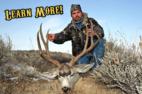 Montana Private Land Archery Mule Deer Hunts