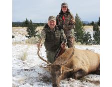 2014 LeRoy's Montana Bull